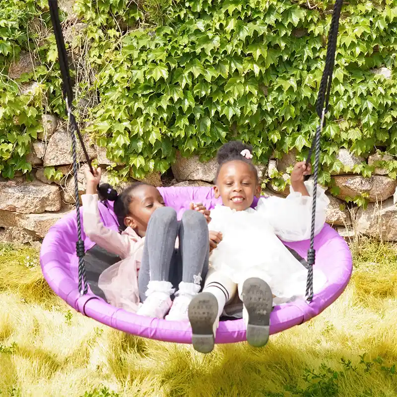 Flying Saucer Swing