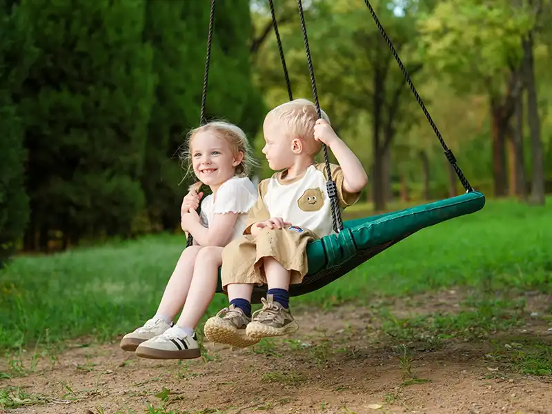 saucer swing