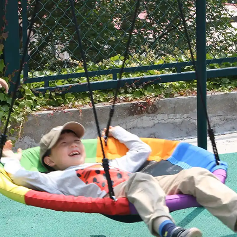 Outdoor Saucer Swing